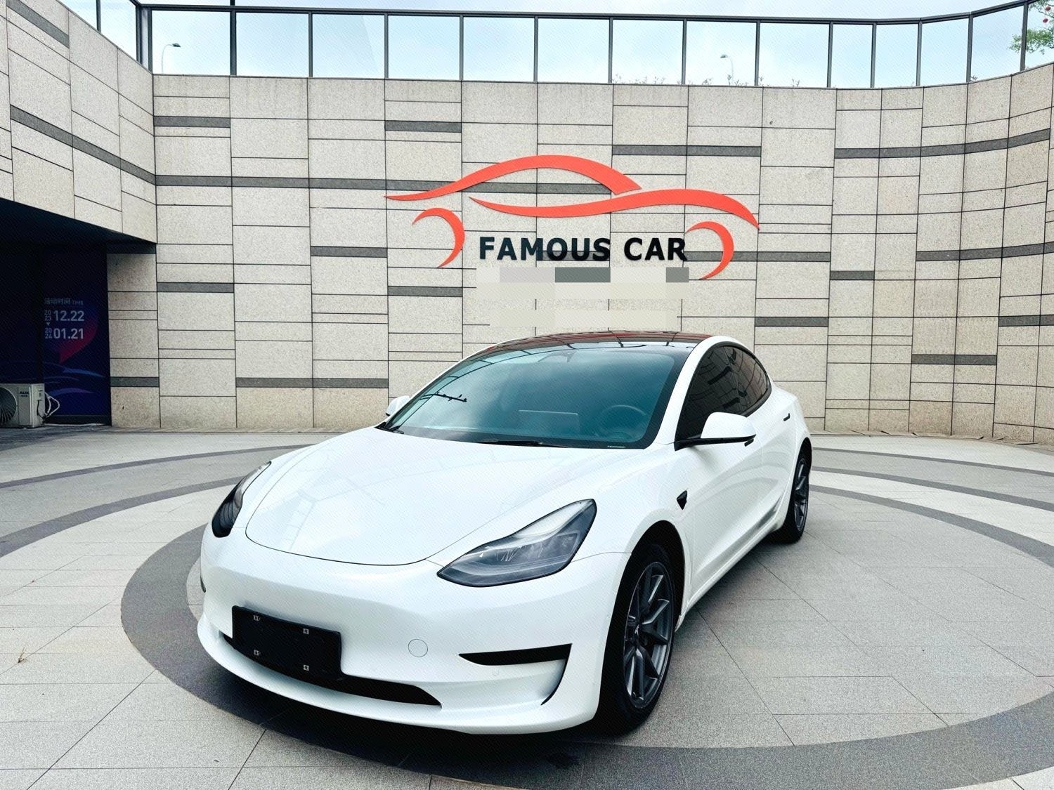 Tesla Model 3 2021 Tesla Model 3 2021 car image