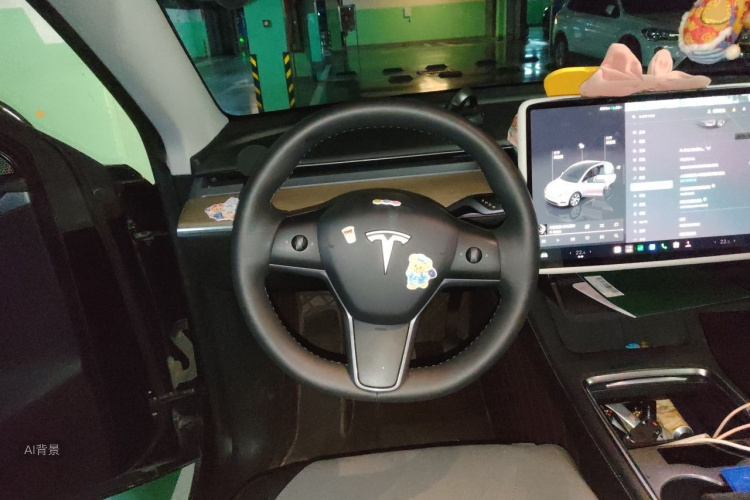 Tesla Model Y 2023 car image #12