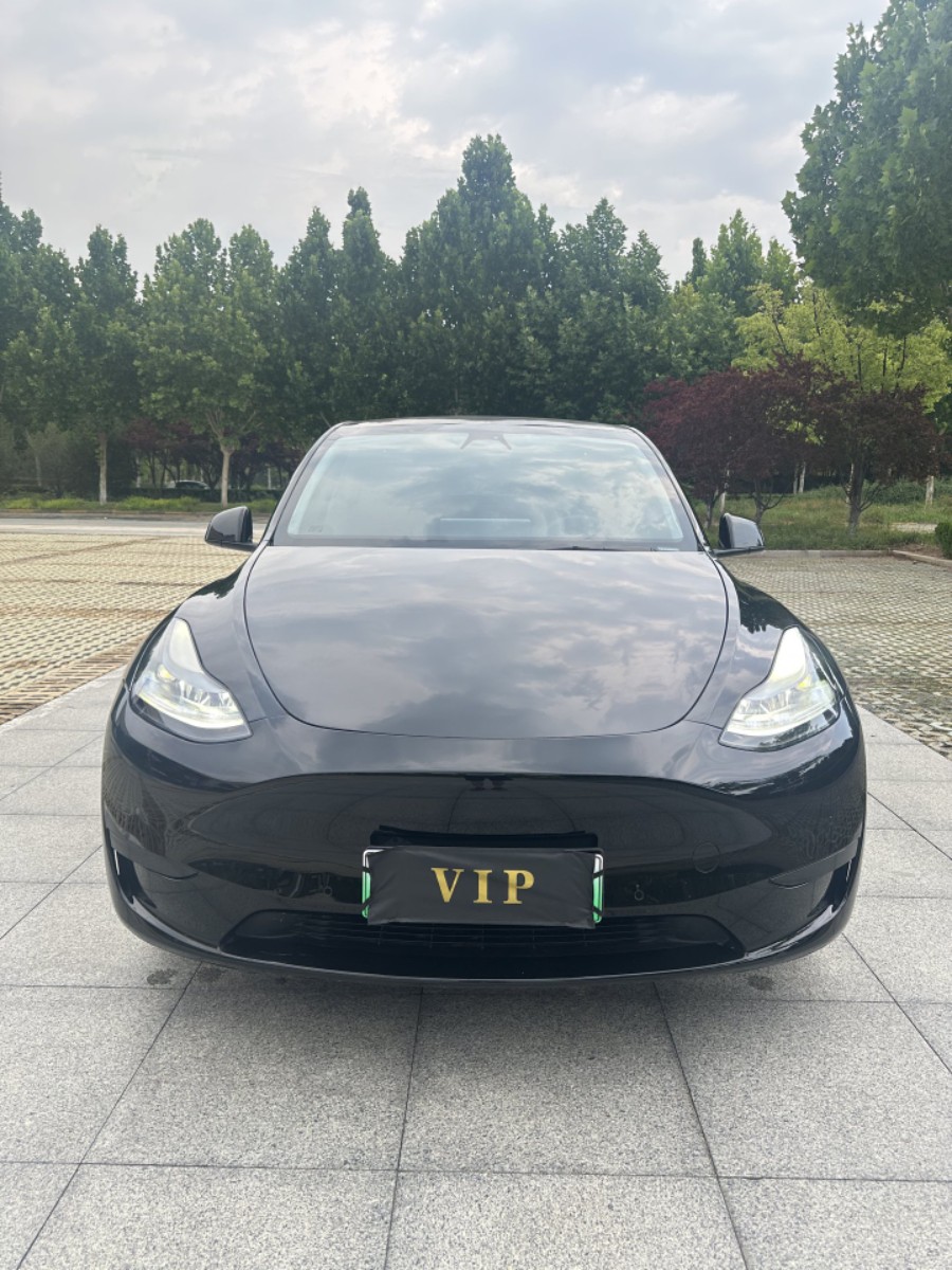 Tesla Model Y 2022 car image #2