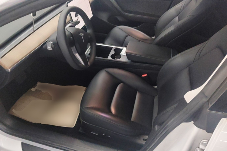 Tesla Model 3 2021 immagine di auto #15