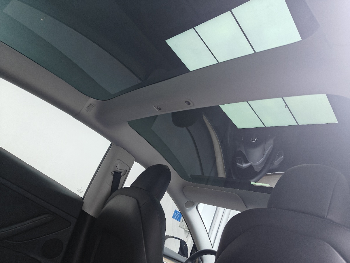 Tesla Model 3 2021 car image #8