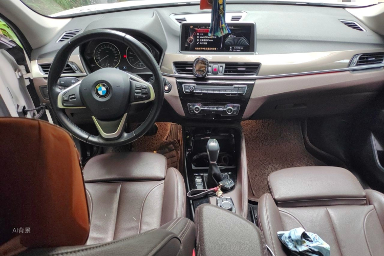 BMW X1 2017 car image #11