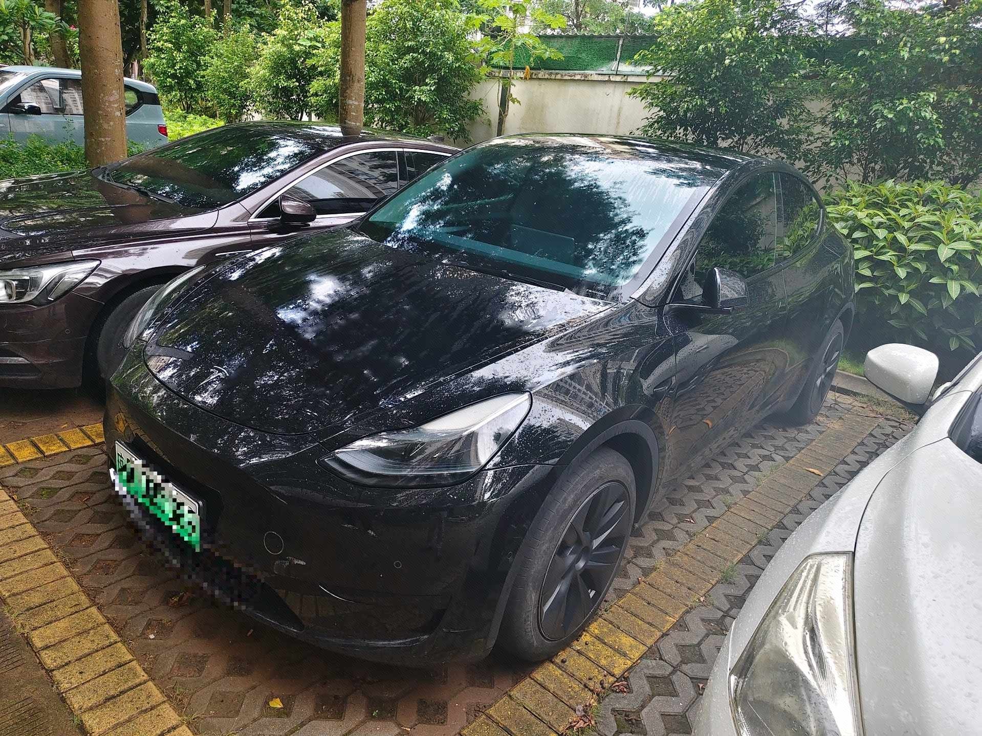 Tesla Model Y 2024 car image 