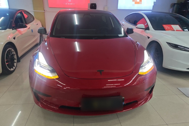 Tesla Model 3 2020 #3 Tesla Model 3 2020 car image #3