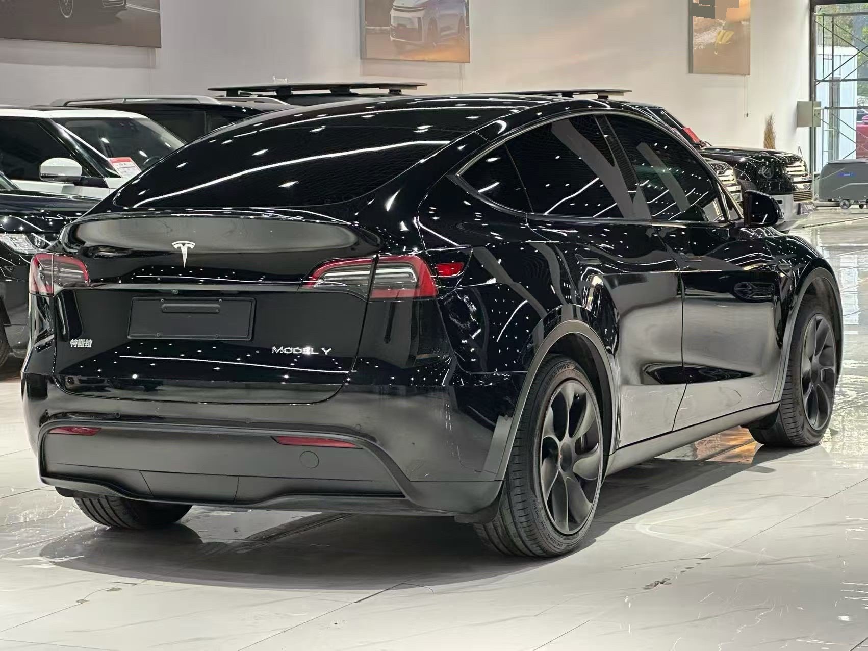 Tesla Model Y 2023 #6 Tesla Model Y 2023 car image #6
