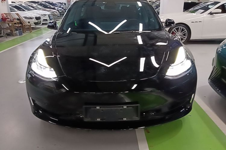 Tesla Model 3 2021 car image #3