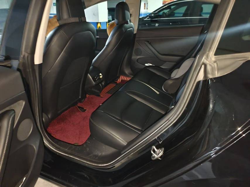 Tesla Model 3 2021 imagem de carro #2
