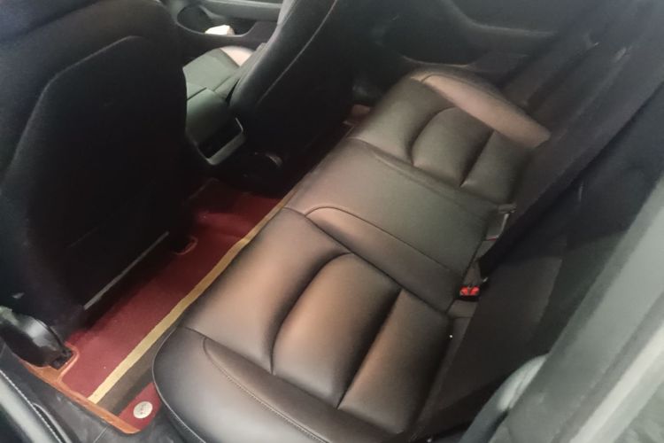 Tesla Model 3 2021 #17 Tesla Model 3 2021 car image #17