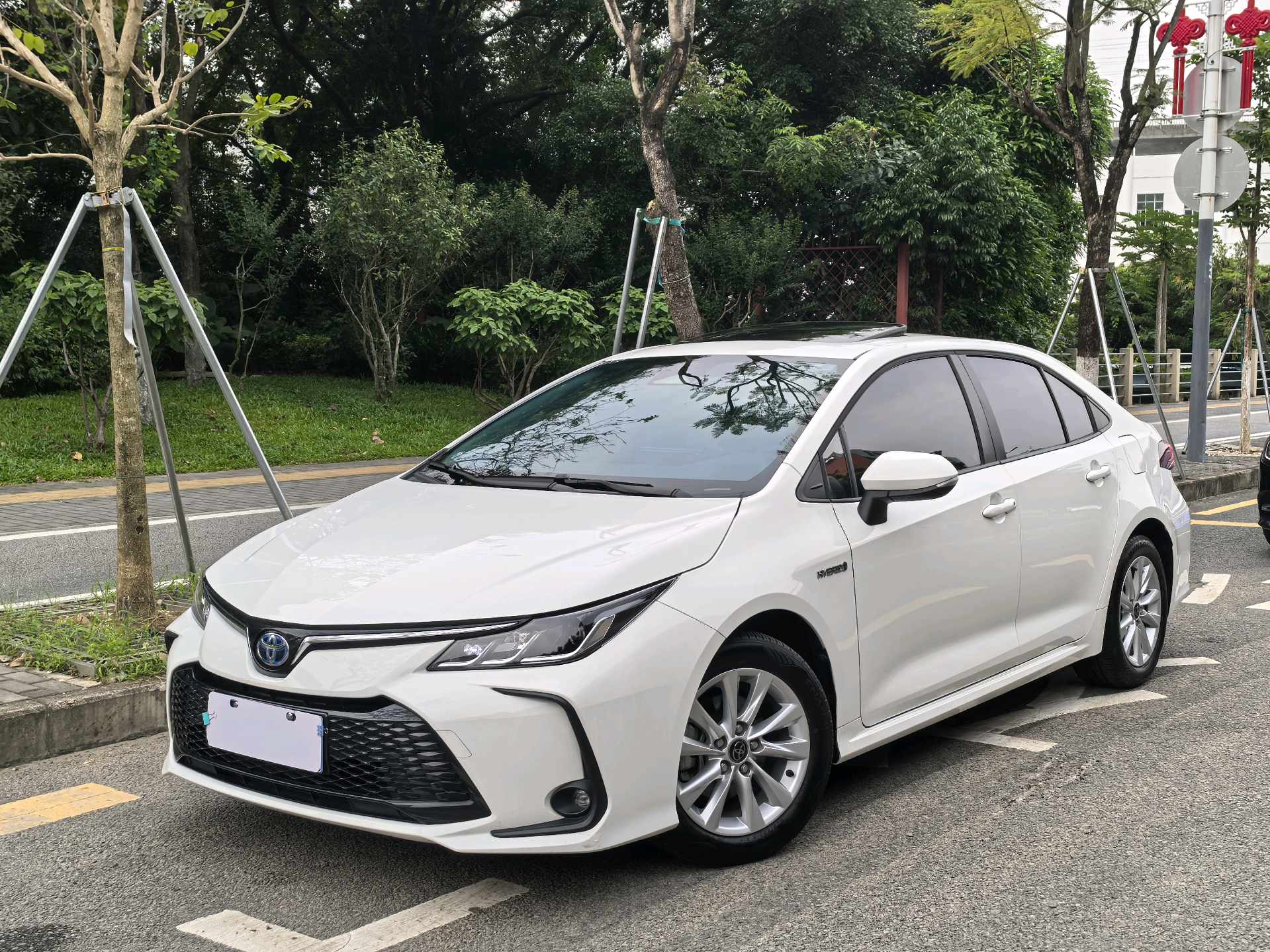 Toyota Corolla 2023 Toyota Corolla 2023 car image