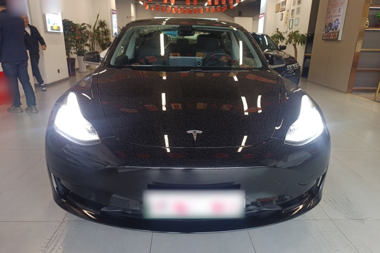 Tesla Model 3 2021 #3 Tesla Model 3 2021 car image #3