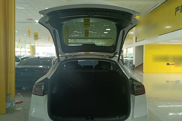 Tesla Model Y 2023 car image #19