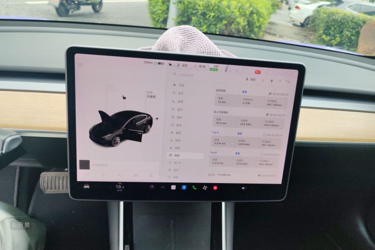 Tesla Model 3 2020 car image #13
