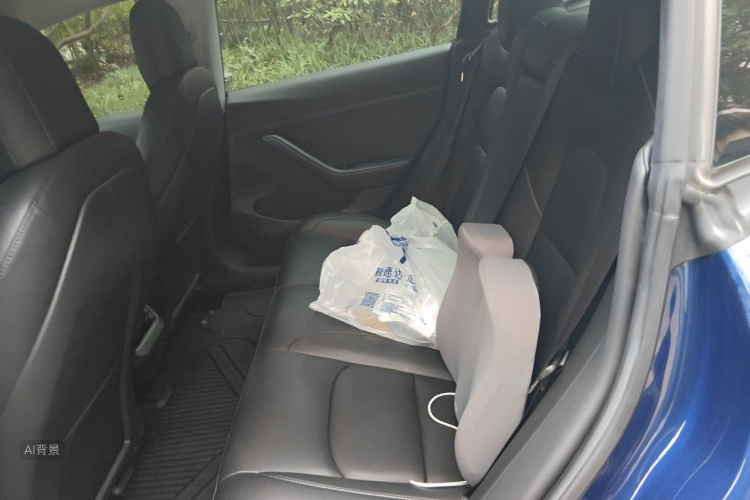 Tesla Model 3 2020 car image #19