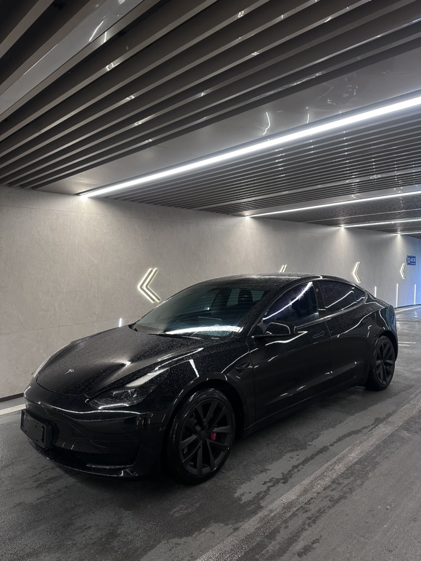Tesla Model 3 2023 immagine di auto 