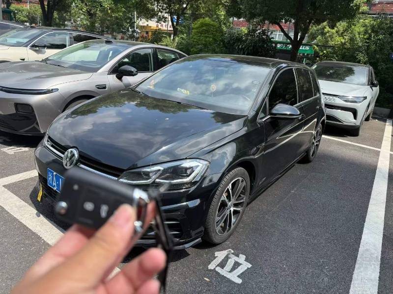Volkswagen Golf 2019 Volkswagen Golf 2019 car image