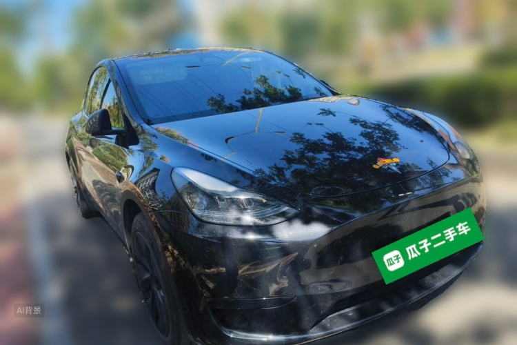 Tesla Model Y 2024 car image #4