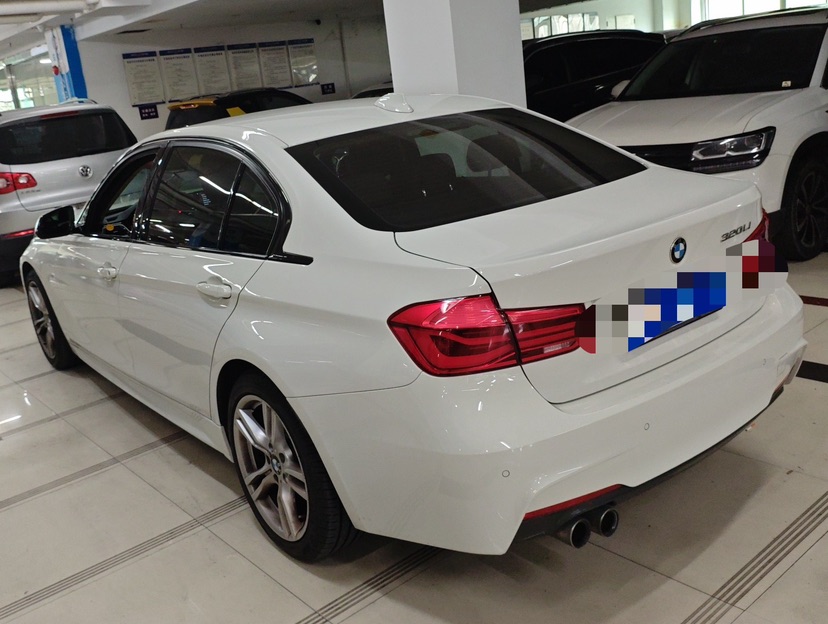 BMW 3 Series 2019 car image #9