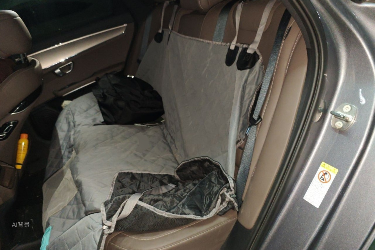 BYD Han 2021 car image #19