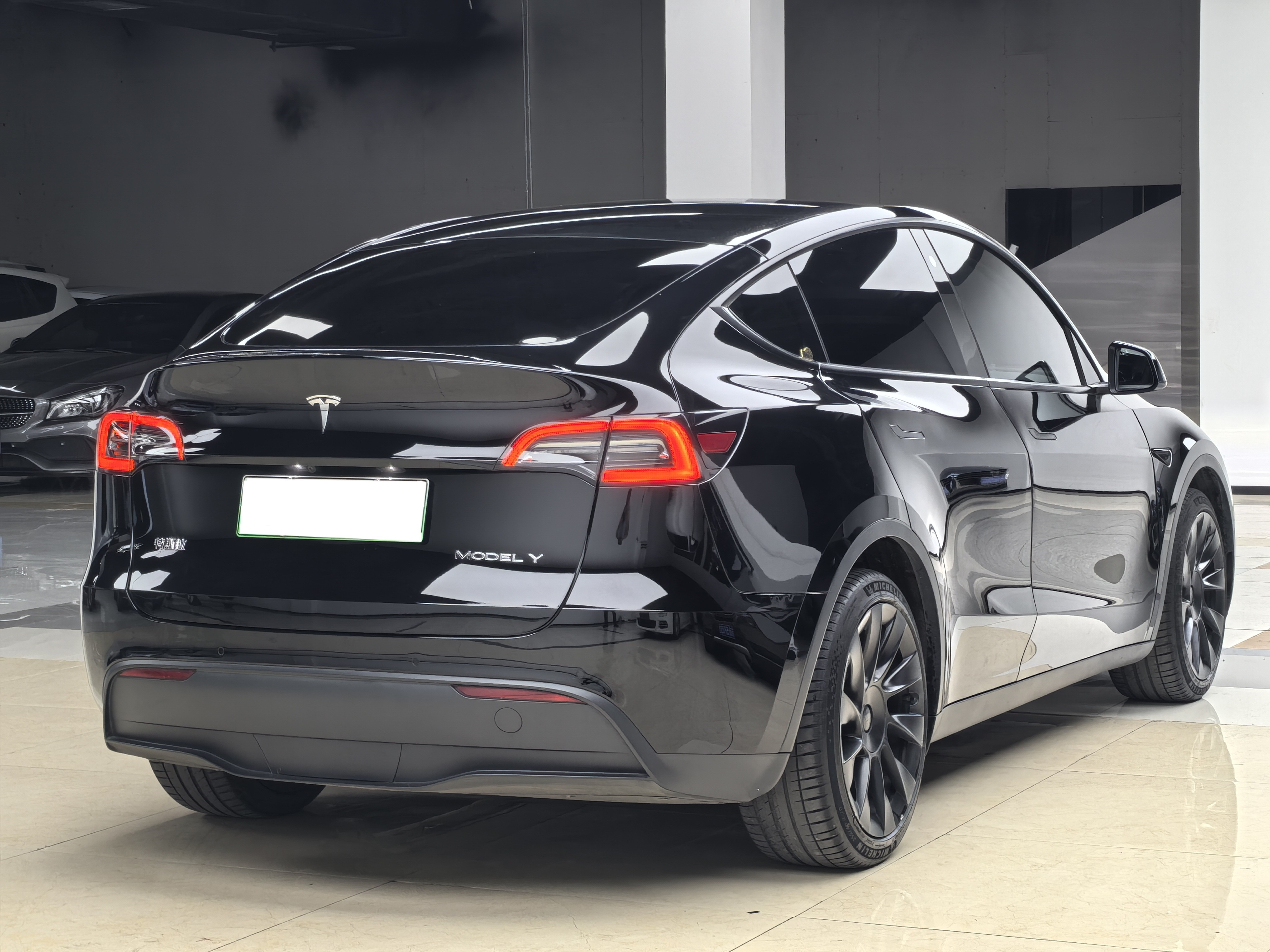 Tesla Model Y 2021 car image #11