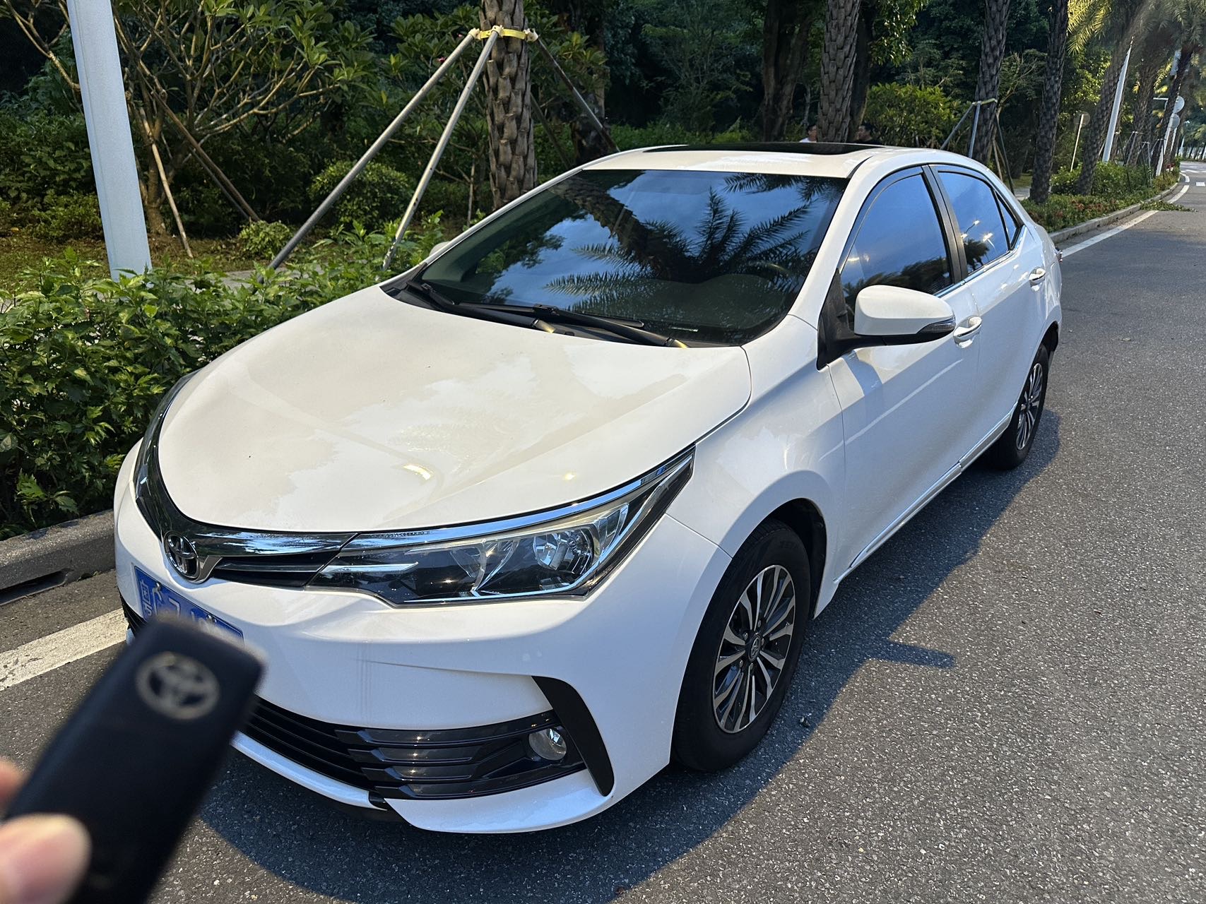 Toyota Corolla 2019 Toyota Corolla 2019 car image
