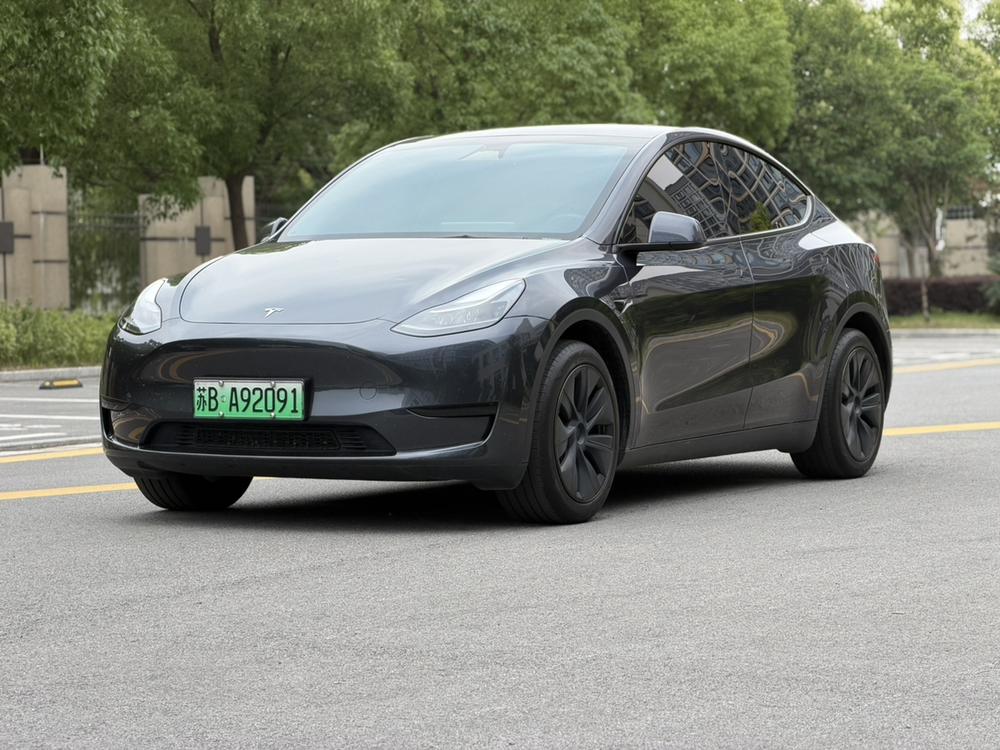 Tesla Model Y 2024 car image 
