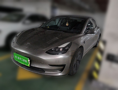 Tesla Model 3 2022 car image 