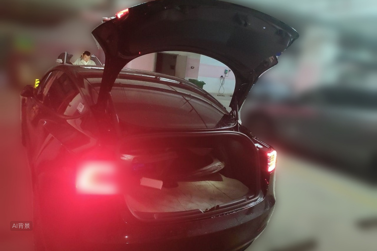 Tesla Model 3 2021 car image #21