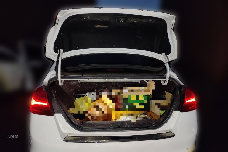 GEELY Emgrand 2019 #21 GEELY Emgrand 2019 car image #21