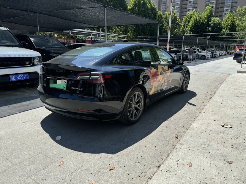 Tesla Model 3 2021 car image #6