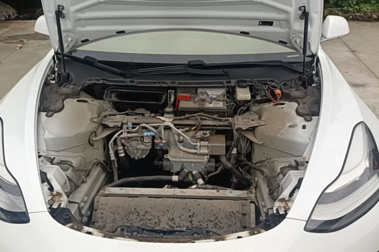 Tesla Model 3 2020 #20 Tesla Model 3 2020 car image #20