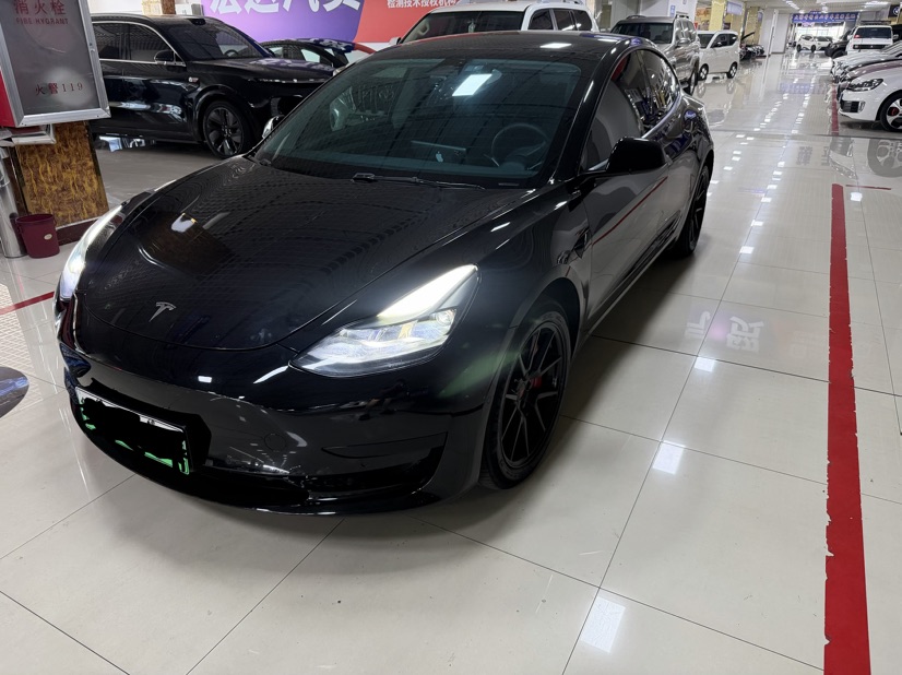 Tesla Model 3 2022 Tesla Model 3 2022 car image