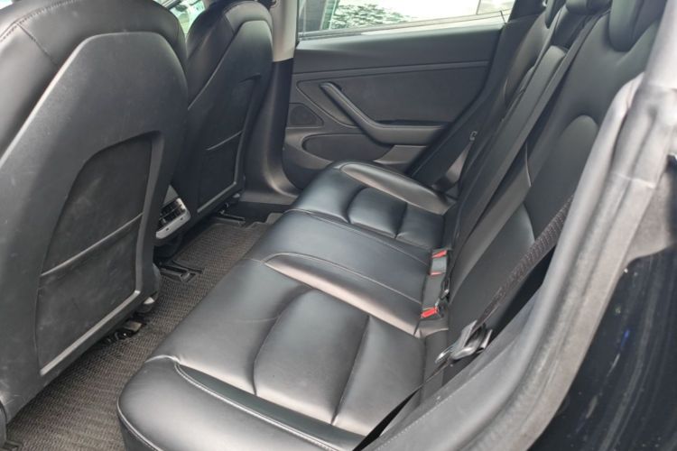 Tesla Model 3 2020 #17 Tesla Model 3 2020 car image #17