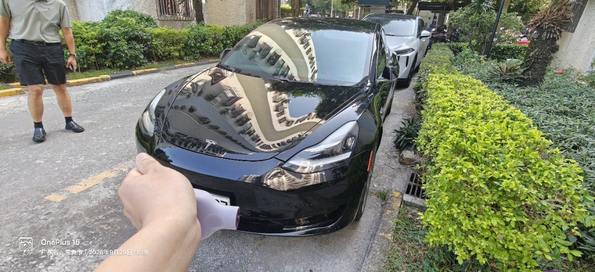 Tesla Model 3 2022 car image 