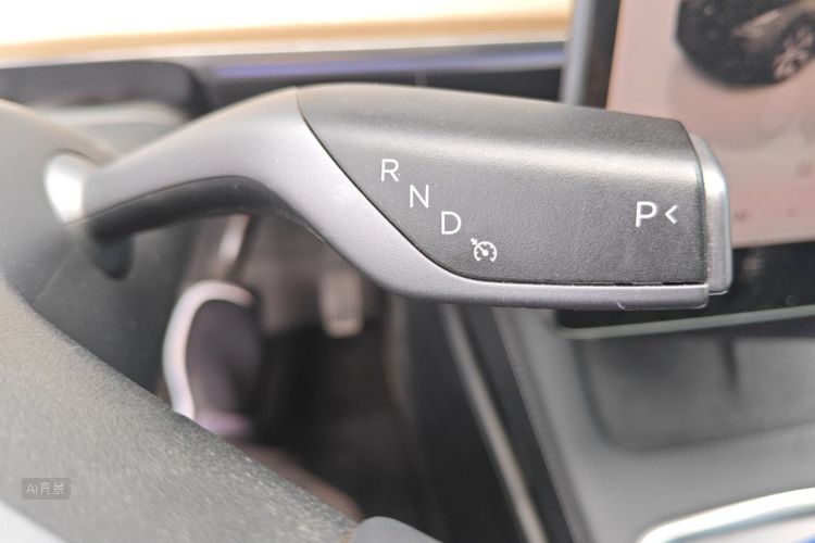 Tesla Model Y 2022 car image #16
