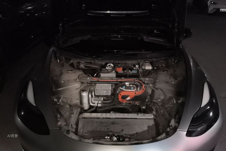 Tesla Model 3 2021 #22 Tesla Model 3 2021 car image #22