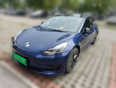 Tesla Model 3 2021 car image 