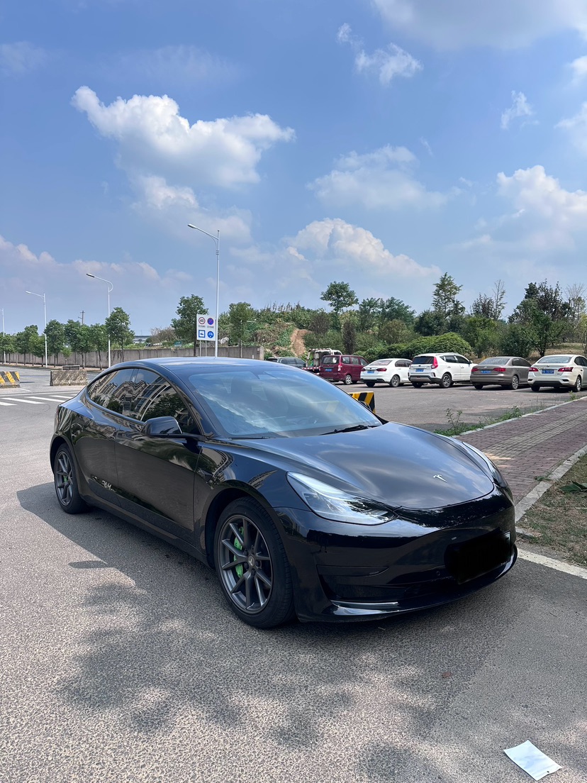 Tesla Model 3 2021 car image #3