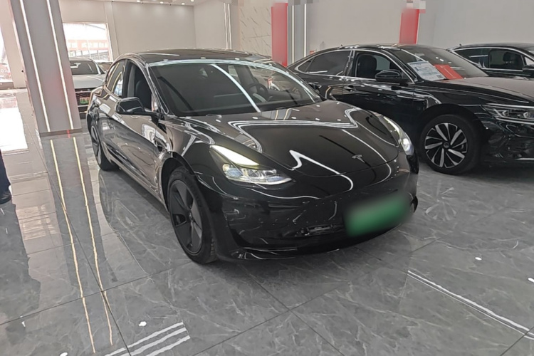 Tesla Model 3 2021 #4 Tesla Model 3 2021 immagine di auto #4