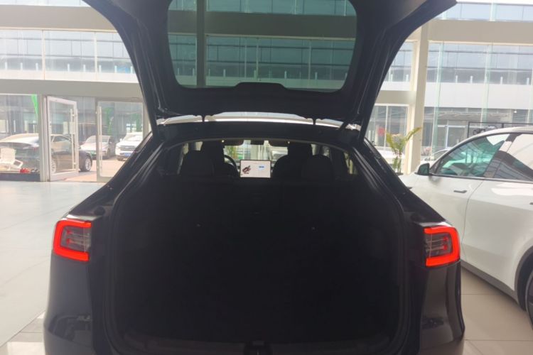Tesla Model Y 2024 car image #19
