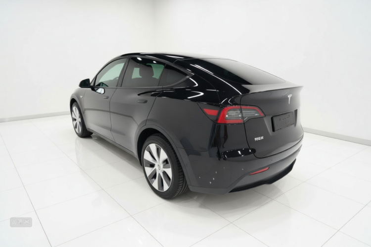 Tesla Model Y 2023 #5 Tesla Model Y 2023 car image #5