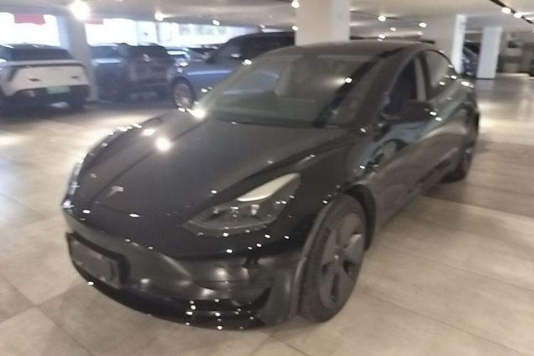 Tesla Model 3 2021 car image #2
