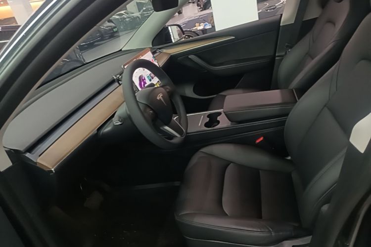 Tesla Model Y 2021 car image #15