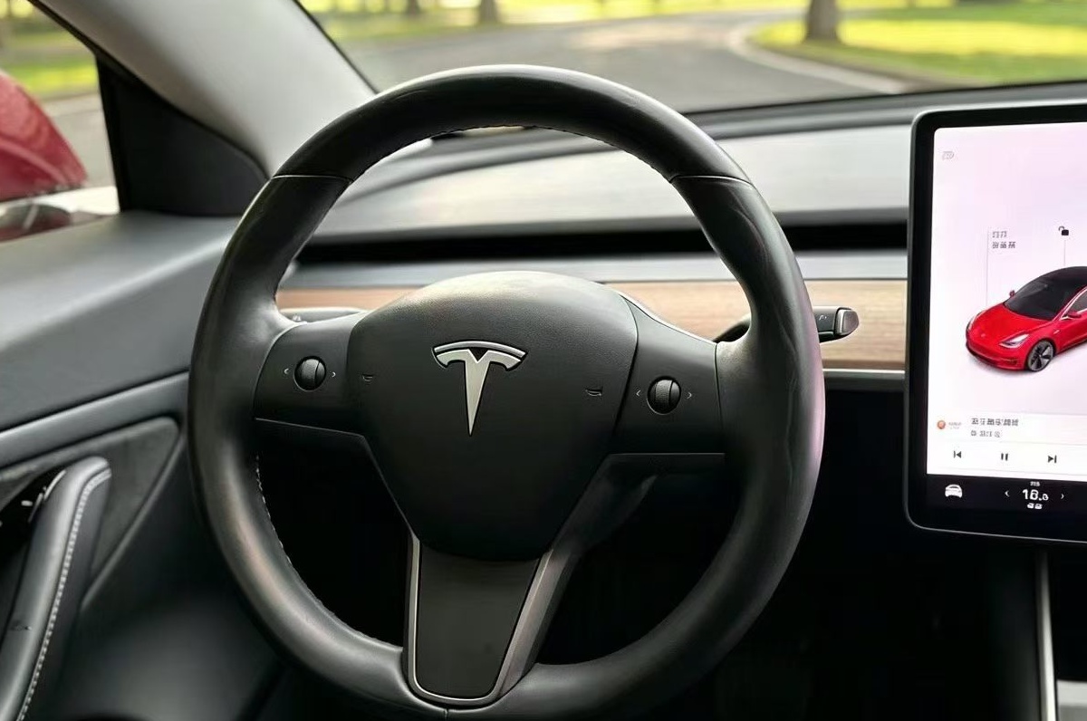 Tesla Model 3 (Imported) 2019 car image #6
