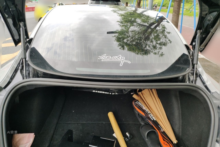 Tesla Model 3 2020 car image #21