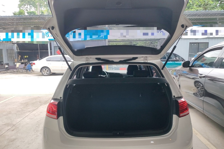 Volkswagen Golf 2020 imagen de coche #19