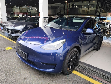 Tesla Model Y 2022 Tesla Model Y 2022 car image