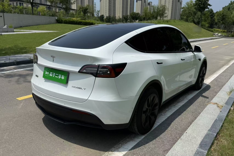 Tesla Model Y 2023 car image #5
