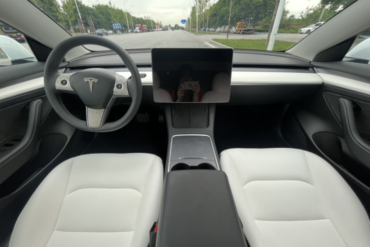 Tesla Model 3 2021 #9 Tesla Model 3 2021 car image #9