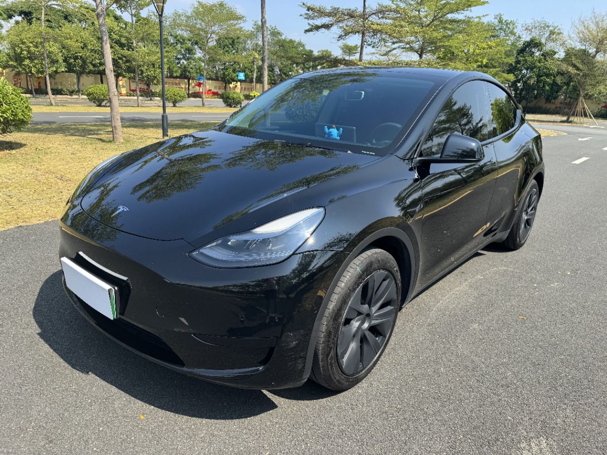 Tesla Model Y 2024 Tesla Model Y 2024 car image