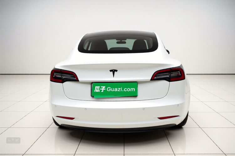 Tesla Model 3 2021 #6 Tesla Model 3 2021 car image #6